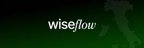Wiseflow
